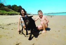 Rocky tops wish list Rocky with Claire and Jay in happier times at the beach.