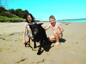 Rocky with Claire and Jay in happier times at the beach.