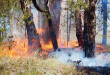 Fires threaten homes Crews from around the region and as far away as Wonthaggi and Frankston fought the fires.
