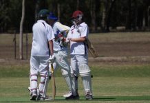 Terrific twins stand together