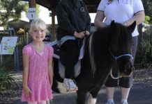 Poncho… one size fits all