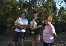 Park seeks a helping hand