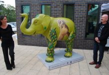 The elephant in the room