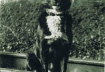 Jerry’s memory lives on