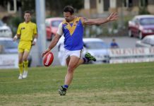 Eagles take aim at Doves