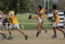 Sunlight of tolerance