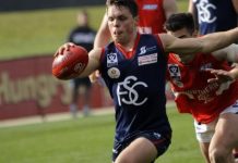 Hogan’s a real force