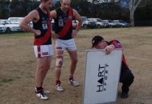 Hawks hatch a dispatch