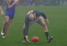 Sacking shakes score