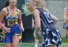 Underdogs have nasty bite