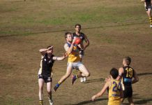 Bulls great… Tigers best