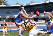 Surprise as Stingrays pull up strong