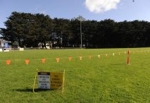 Tree axe set to fall