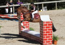 Leaps and bounds buckaroos