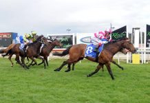 Gunning… a tragic Comedy