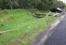 Driver escapes as crash causes blackout