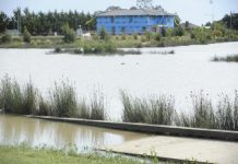 Walking paths inundated