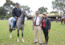 Equine extravaganza embraced