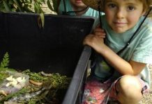 Old and new to draw the crowds