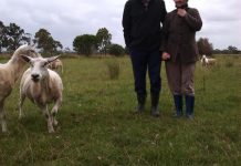 Sickening sight a mystery