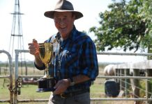 Better than a poke in the eye