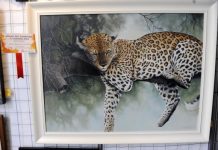 Art drawn in to exhibition