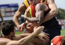 Hawks make meal of Demons