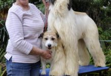 Show with a difference