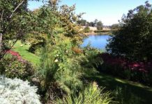 Garden lake’s sunrise serenity