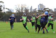 Silverbacks show their sure touch