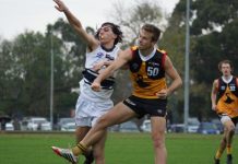 No flounder in the mud