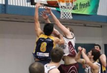 The Basketball Diaries