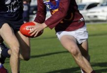 Lions’ spirit soars