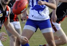 A road runner, coyote outcome?