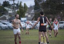 Henry, Hayes help Doves soar