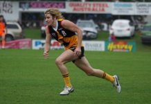 Strong wind puts match to Cannons