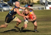 Time to release the Doves?