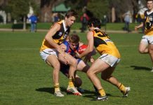 Double chance for Dandy?