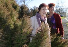 The trees that matter