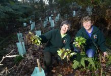 Plants give park boost