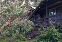 Icy blast across Cardinia