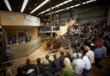 Top slots up for grabs