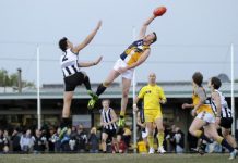 Stars size up the crown