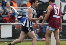 Supreme with the lot