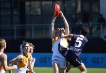 Stingrays turn the table