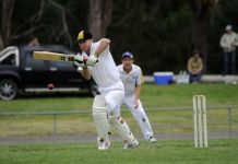 Tigers’ roar dulled by uncertainty