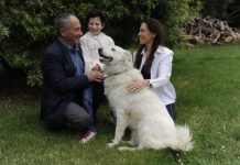 Vision for the future