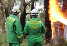 Controlled burns rolled out