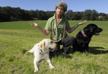 Call to rein in Nellies