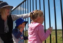 New school plans revealed